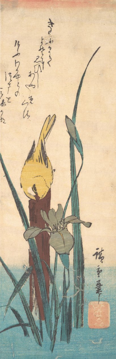 Madár és írisz. alkotó: Ando Hiroshige