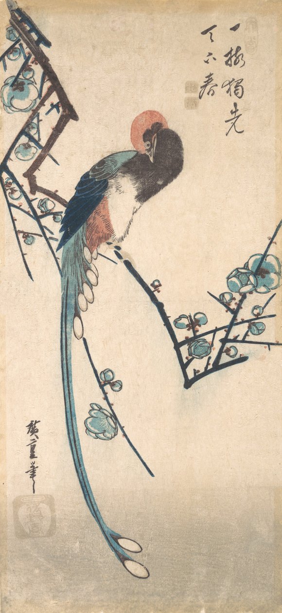 Hosszúfarkú madár. alkotó: Ando Hiroshige