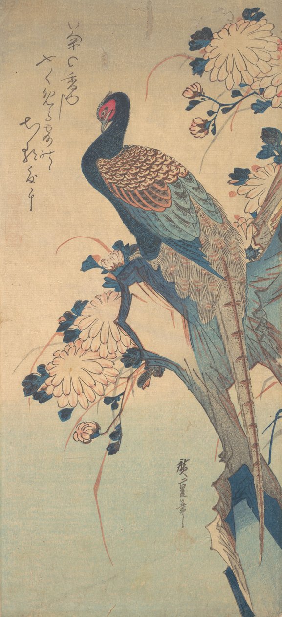 Fácán krizantémokkal, kb. 1835., kb. 1835. alkotó: Ando Hiroshige