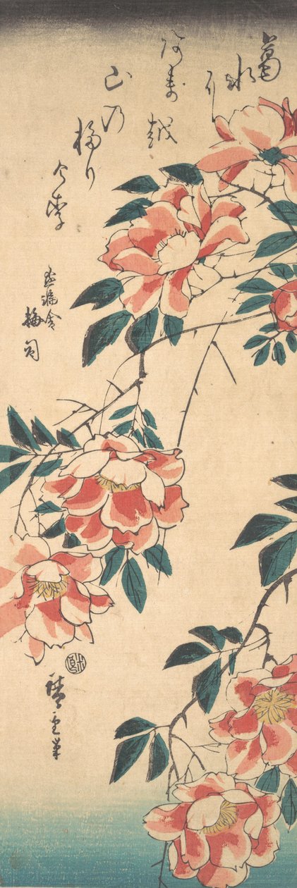Rózsa, kb. 1843., kb. 1843. alkotó: Ando Hiroshige