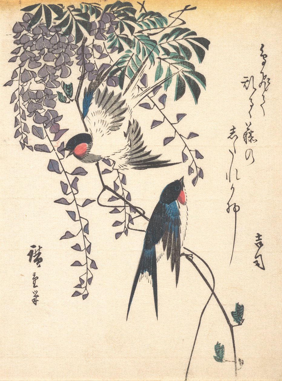 Fecske és Wisteria, 1840-es évek közepe, 1840-es évek közepe. alkotó: Ando Hiroshige