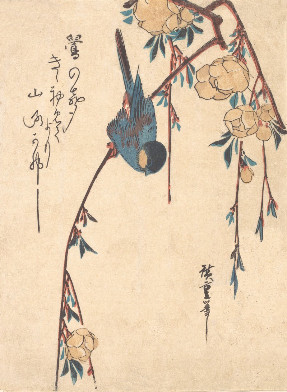 Síró Cseresznye. alkotó: Ando Hiroshige