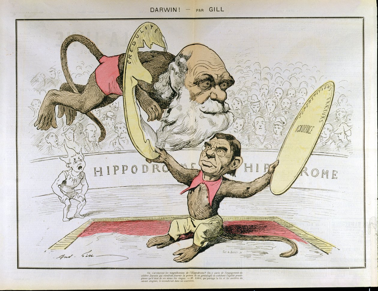 Charles Darwin (1809-1882) és Emile Littre (1801-1881) karikatúrája, amely egy cirkuszban fellépő majmokként ábrázolja őket alkotó: Andre Gill