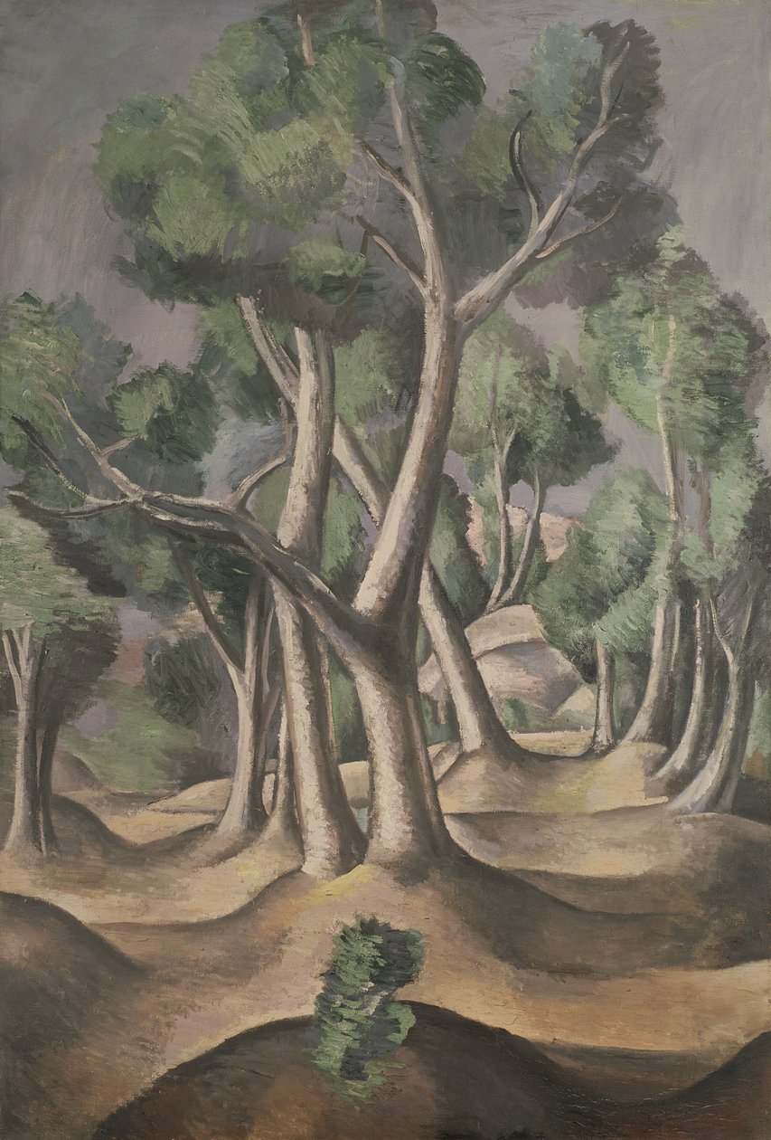 A liget alkotó: Andre Derain