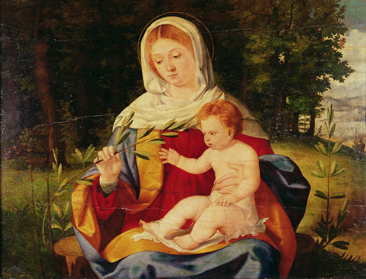 A Szűz és a Gyermek egy olajbogyóval, 1515 körül (olaj, fa) alkotó: Andrea Previtali