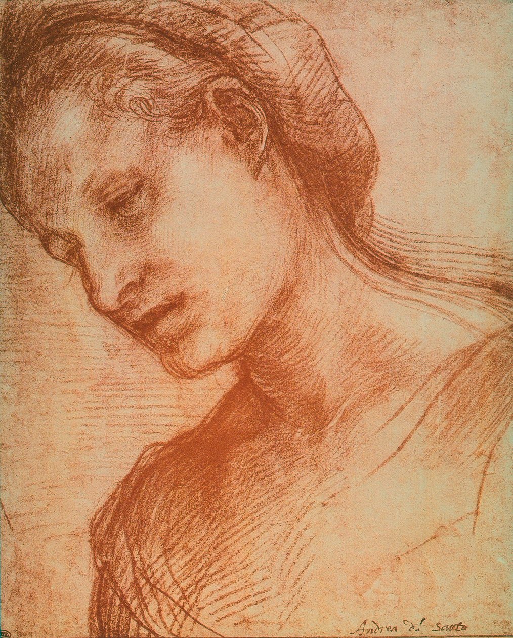 Női fej alkotó: Andrea del Sarto