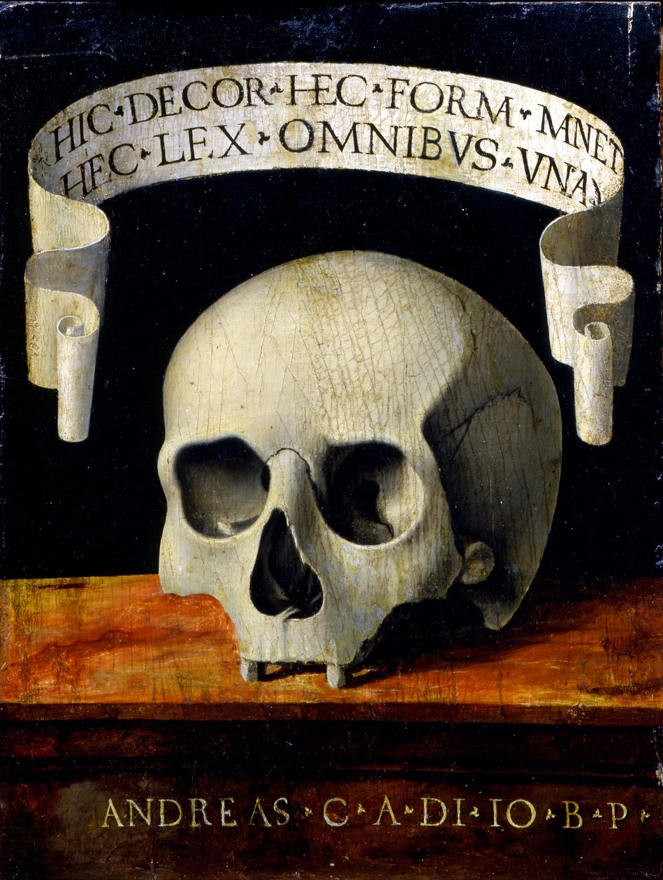 Memento Mori, 16. század eleje. alkotó: Andrea Previtali