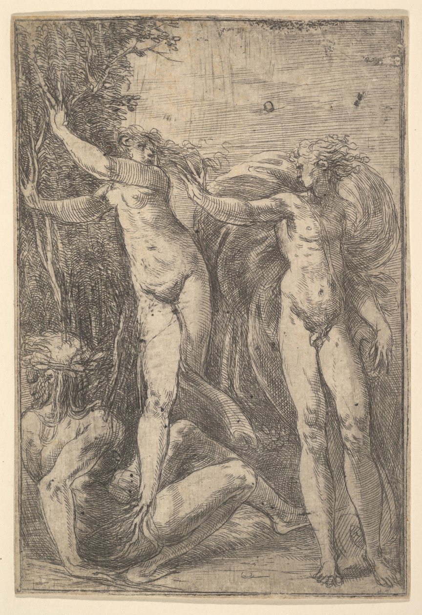 Apollo és Daphne, kb. 1538-40. alkotó: Andrea Schiavone