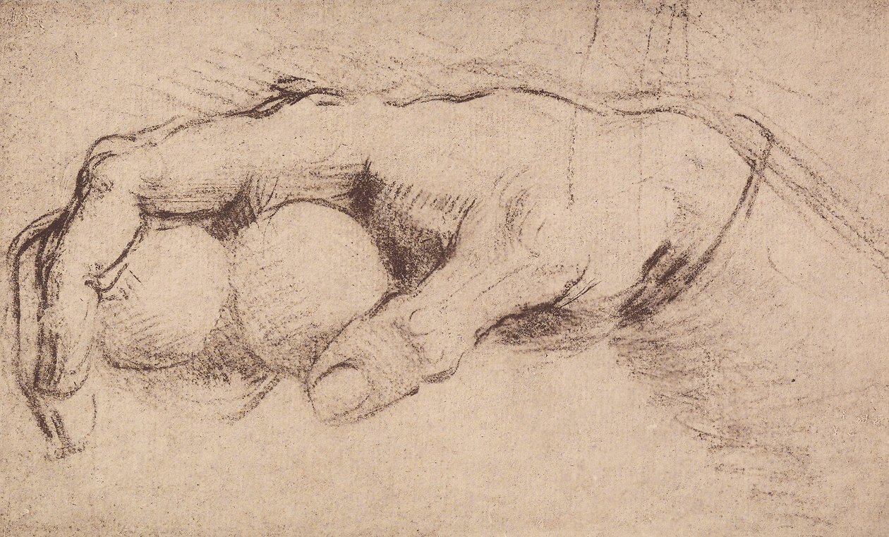Egy kéz; rajz alkotó: Andrea del Sarto