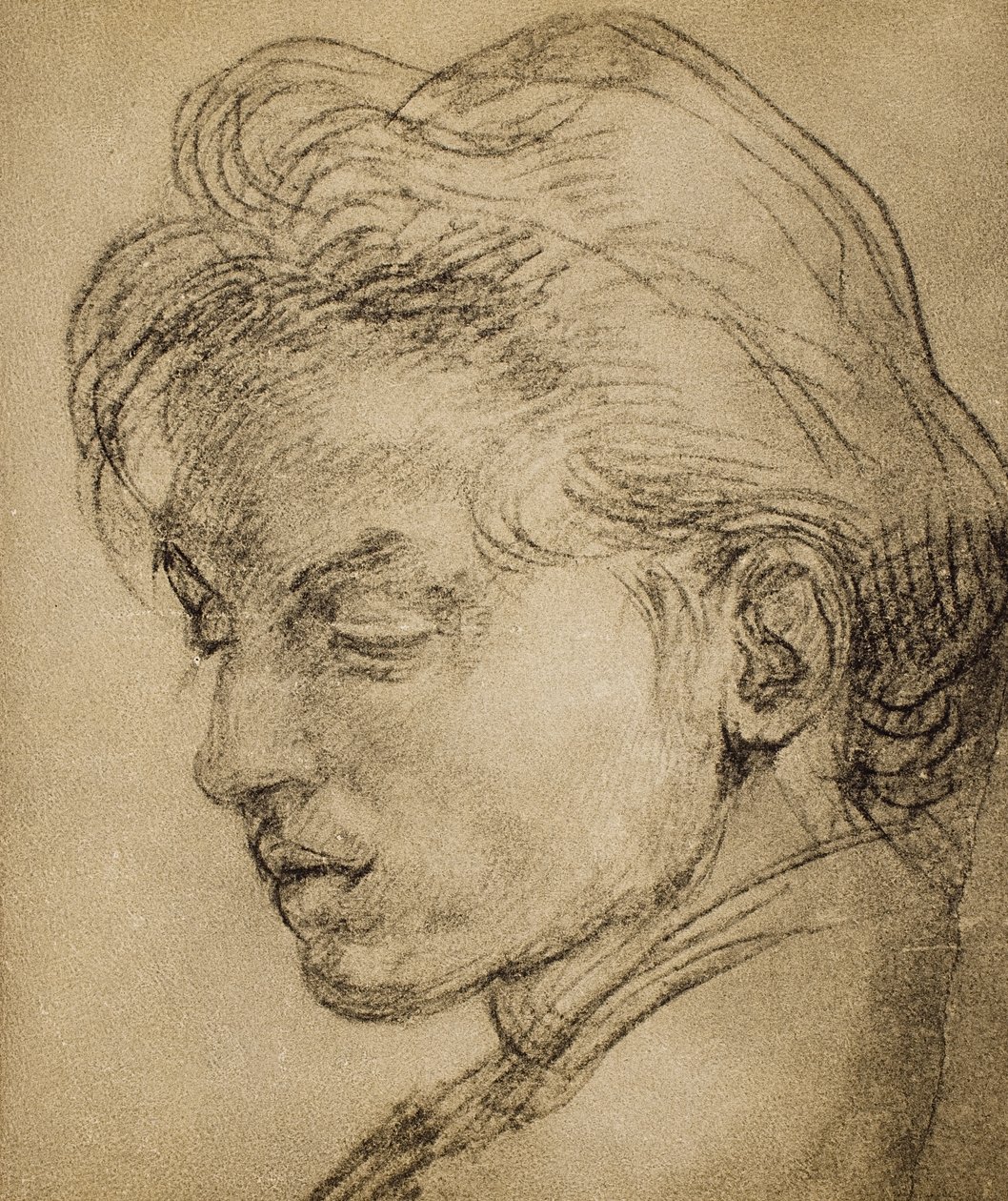 Fiatal fej profilban alkotó: Andrea del Sarto