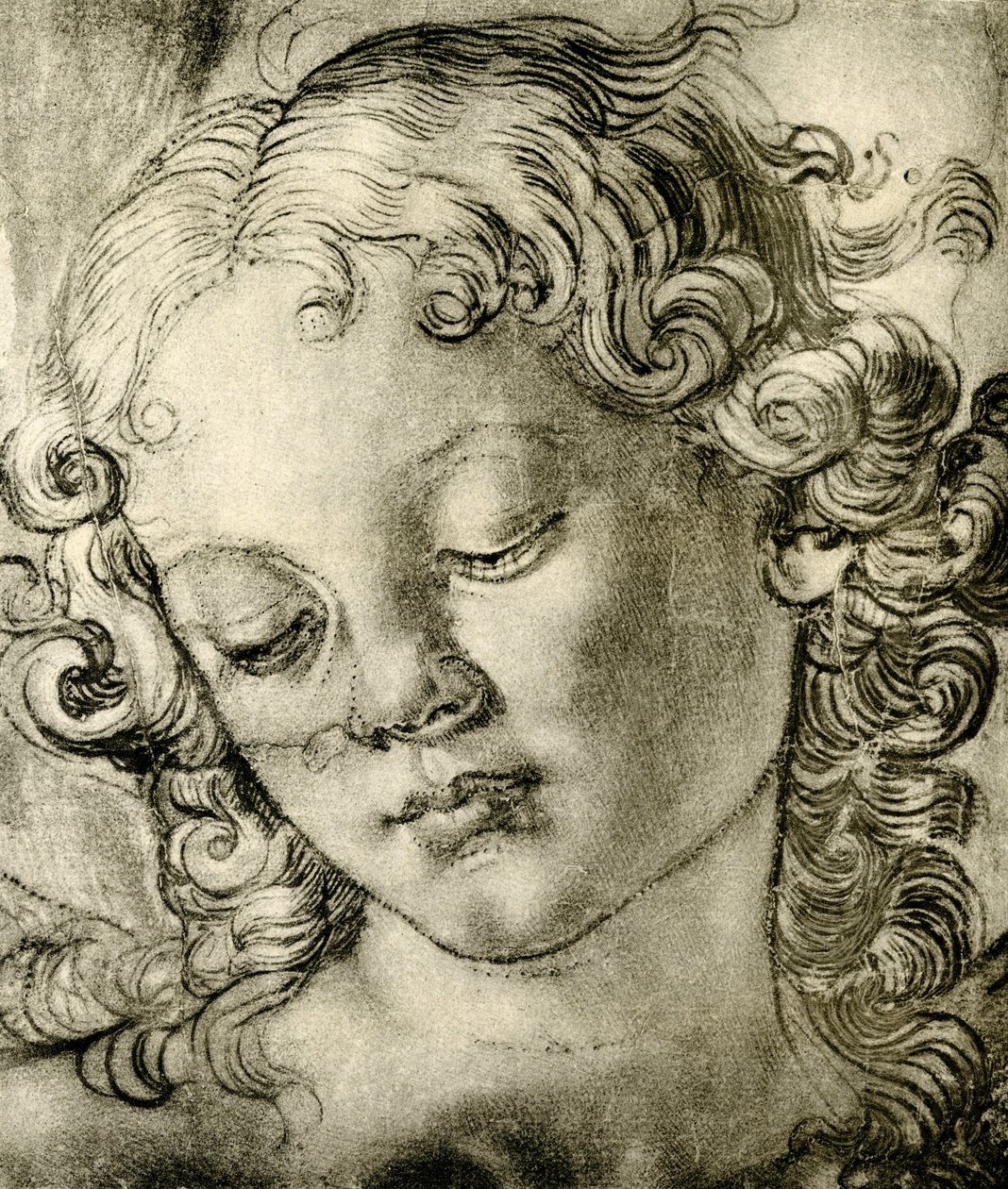 Angyalfej alkotó: Andrea del Verrocchio