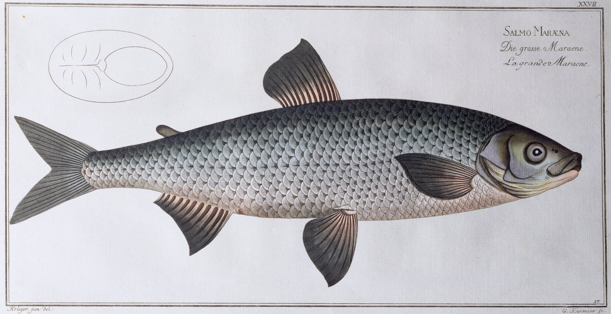 Lazac: kocsma. szerző: Black, 1790 körül (nyomtatott) alkotó: Andreas Ludwig Kruger