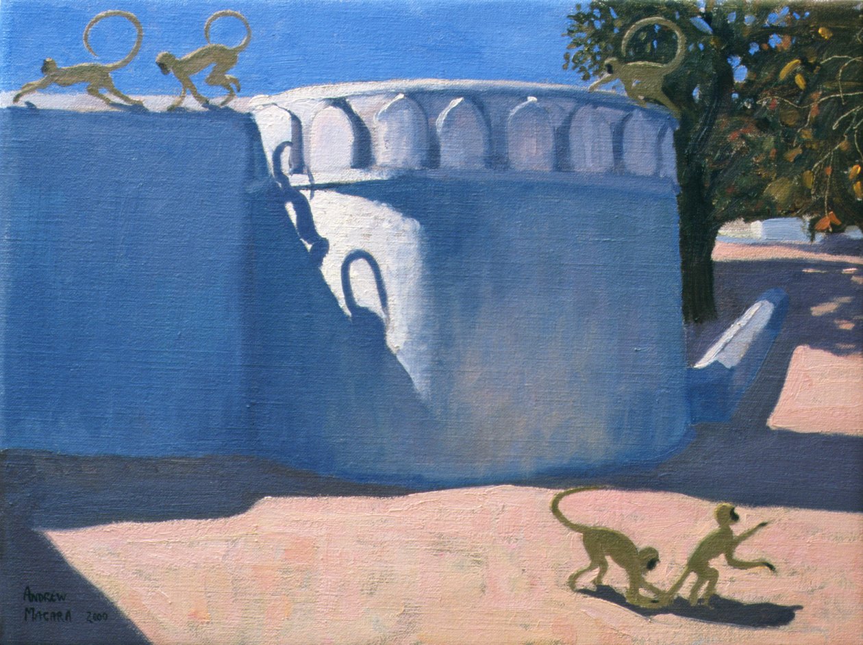 Monkey Temple, India, 2000 alkotó: Andrew Macara