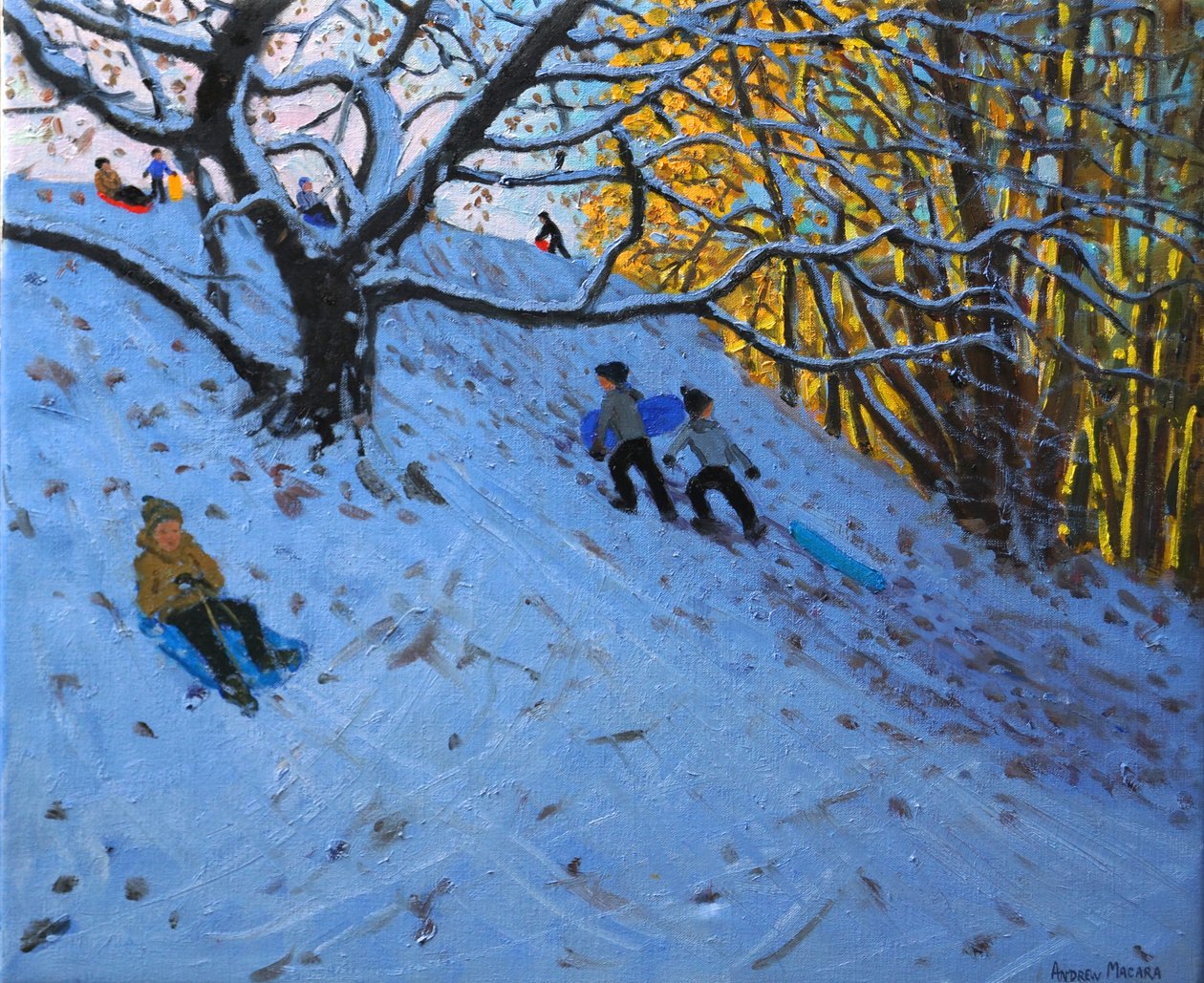 Sledging Allestree golfpálya (3. lyuk) 2014 alkotó: Andrew Macara