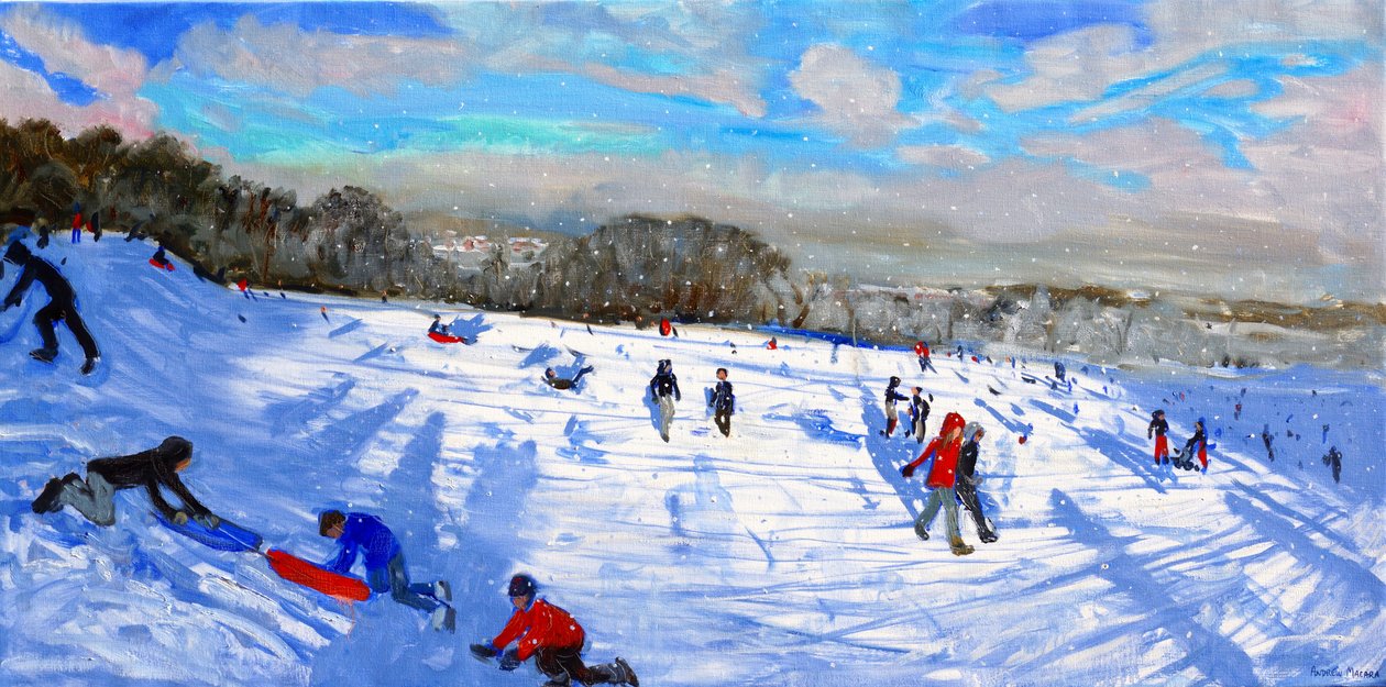 Hópelyhek,Allestree Park,Derby. alkotó: Andrew Macara