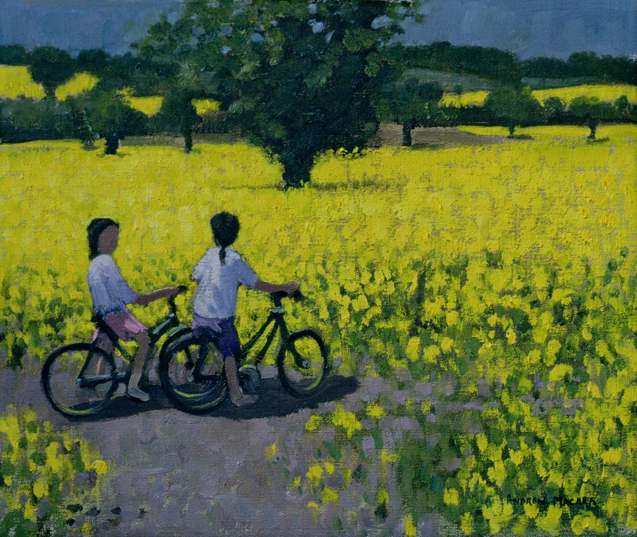 Yellow Field, Kedleston, Derby alkotó: Andrew Macara