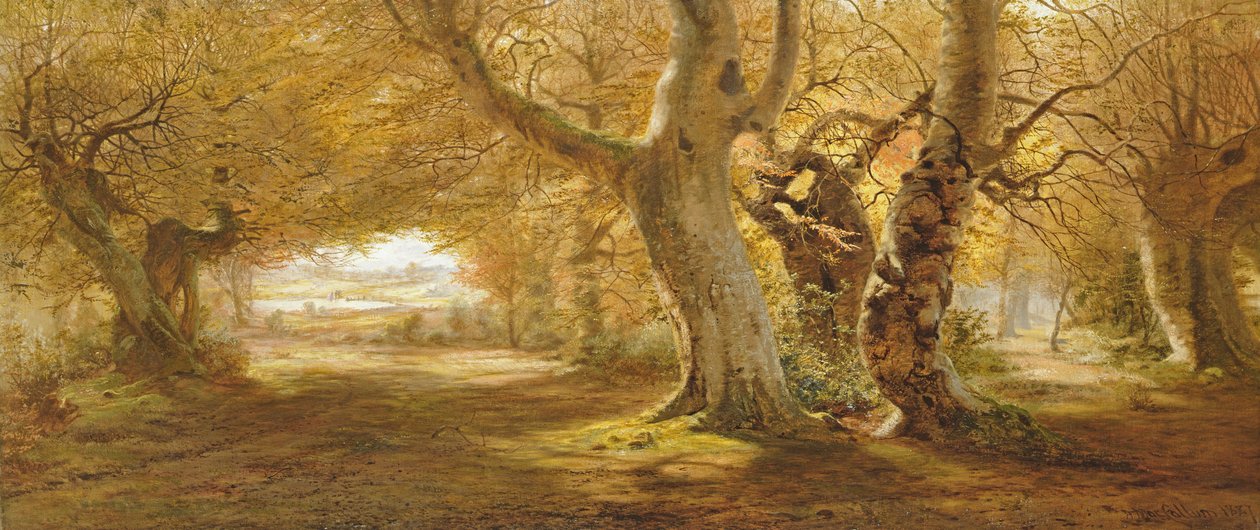 Erdős táj, 1887 alkotó: Andrew McCallum