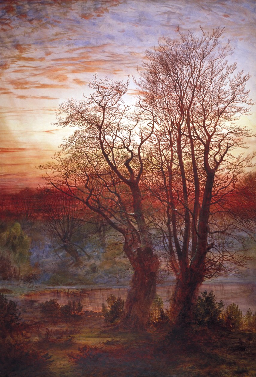„Burnham Beeches”, 1841-1902 alkotó: Andrew MacCallum