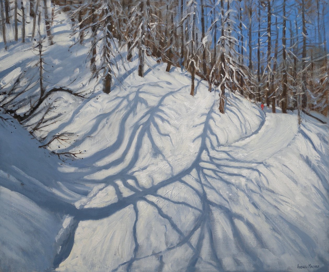 Fenyőfa árnyékai, Tignes, 2009 alkotó: Andrew Macara