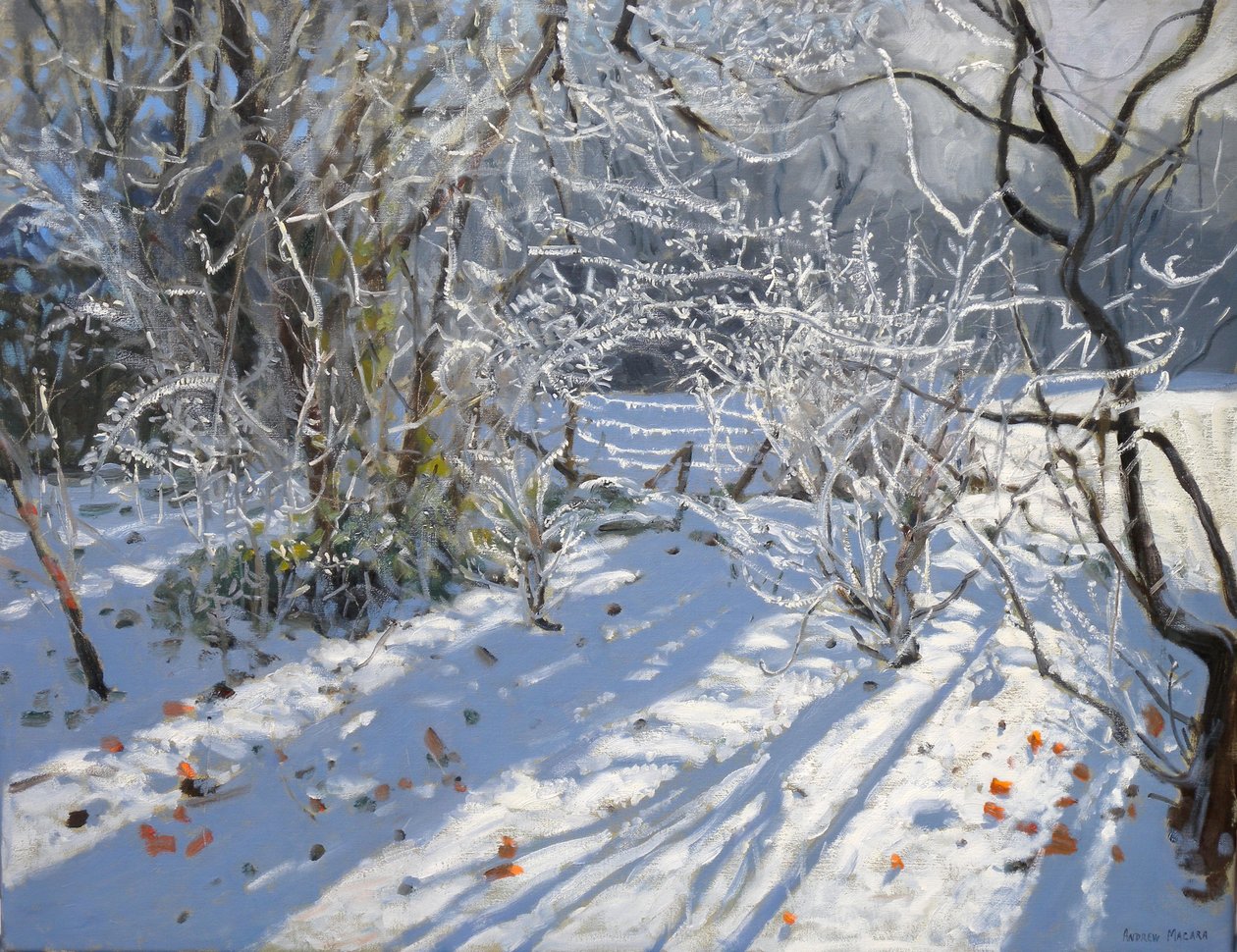 Hoar Frost, 2011 alkotó: Andrew Macara