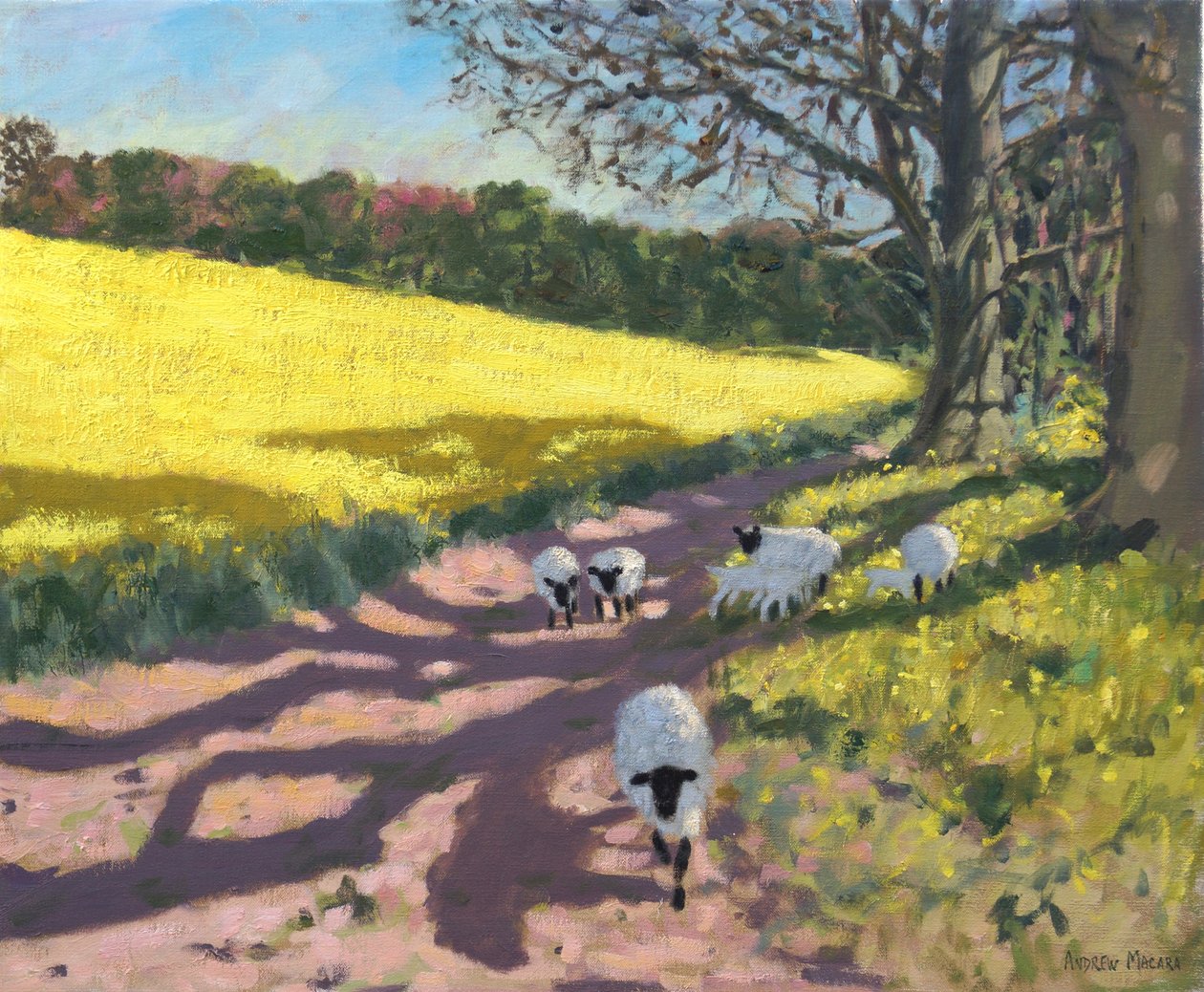 Juh és sárga mező, 2017, alkotó: Andrew Macara
