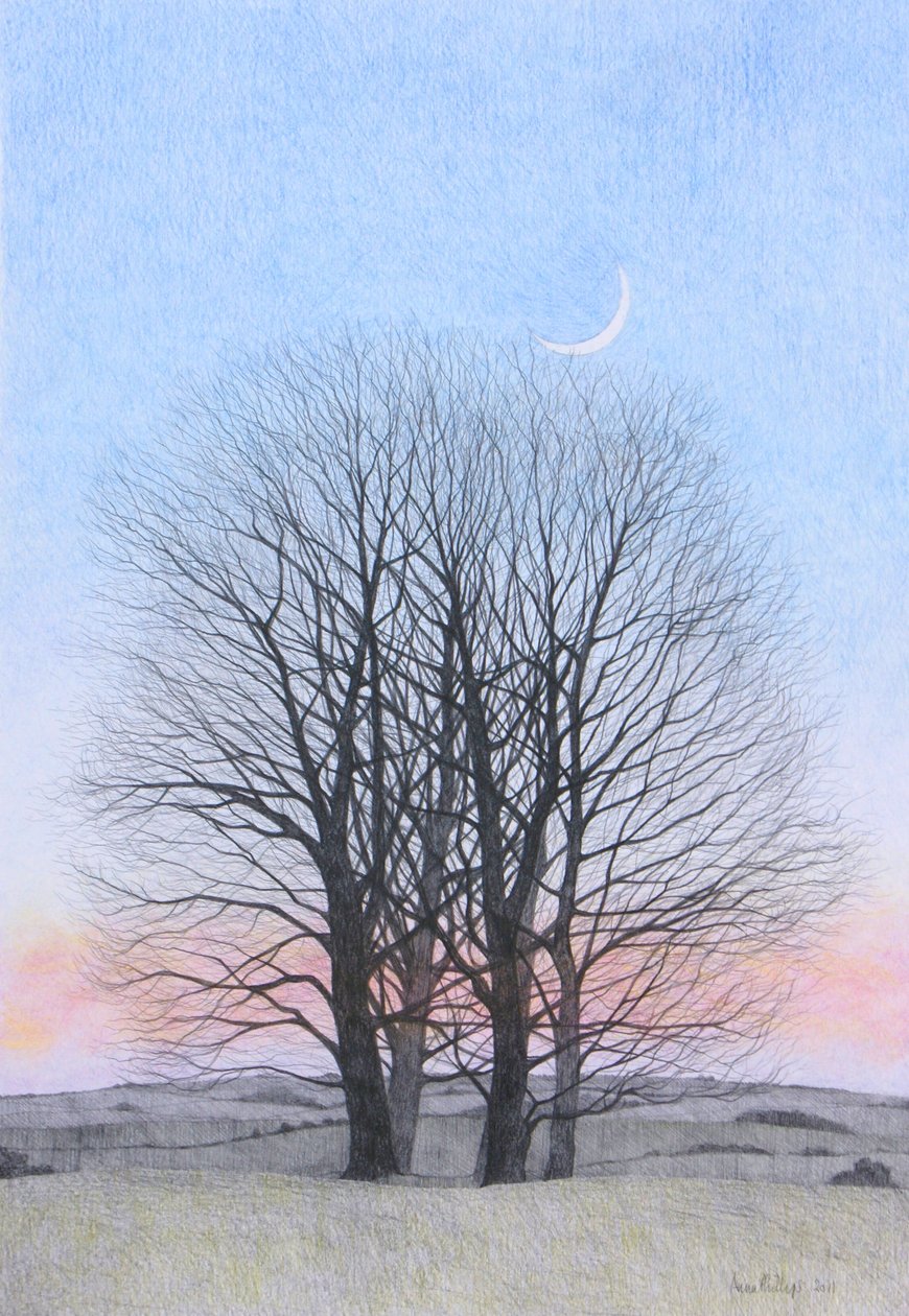 Újhold, 2011 (színes ceruza papíron) alkotó: Anna Phillips