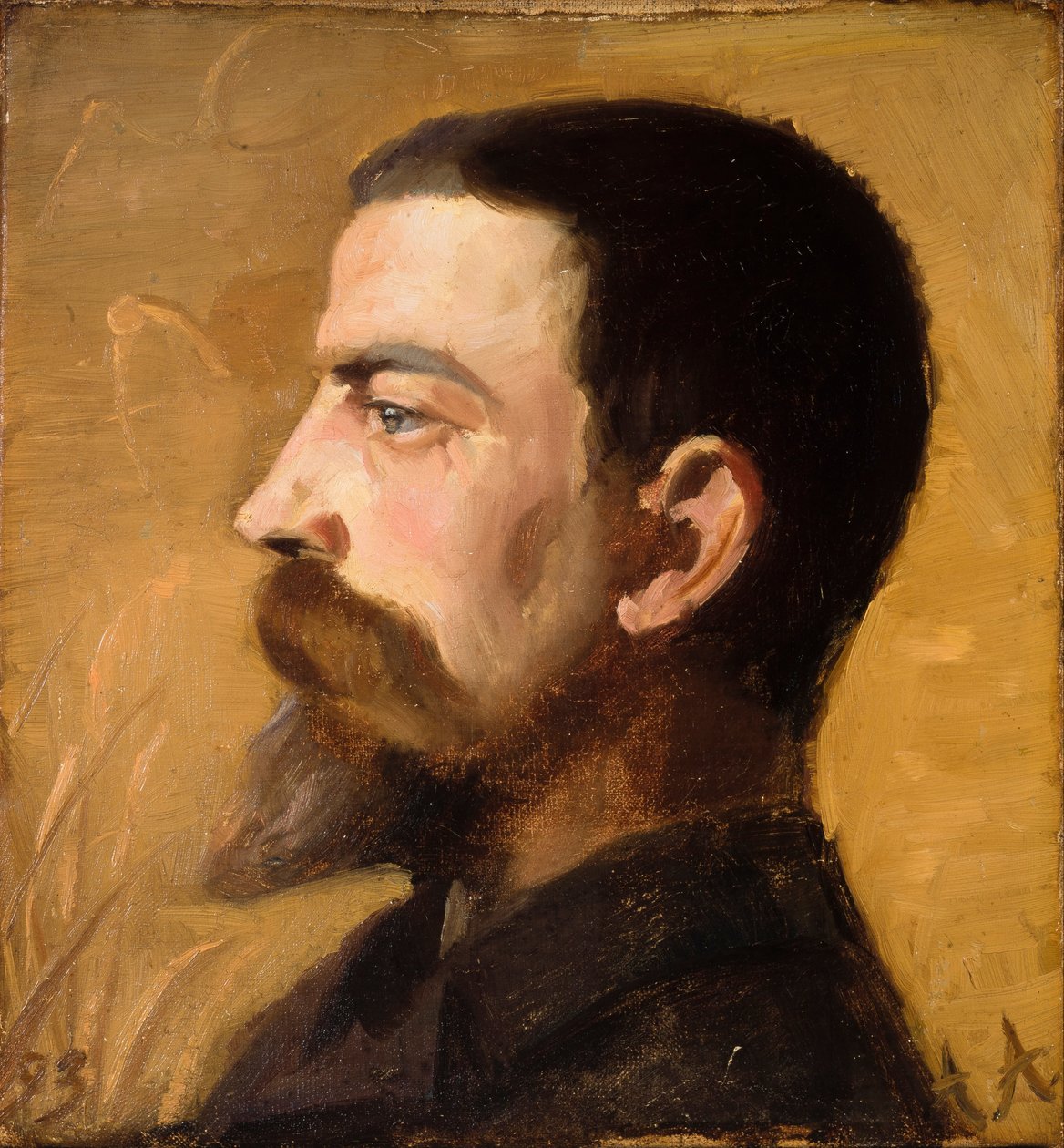 Valdemar Schønheyder Møller alkotó: Anna Ancher