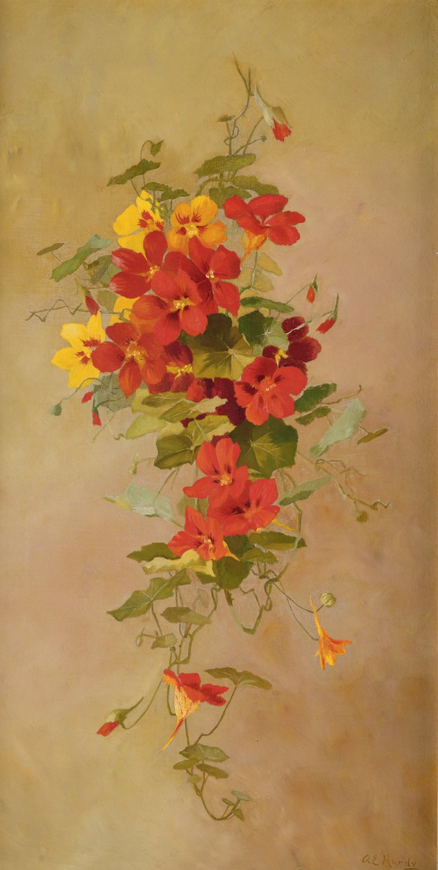 Nasturtiums alkotó: Anna Eliza Hardy