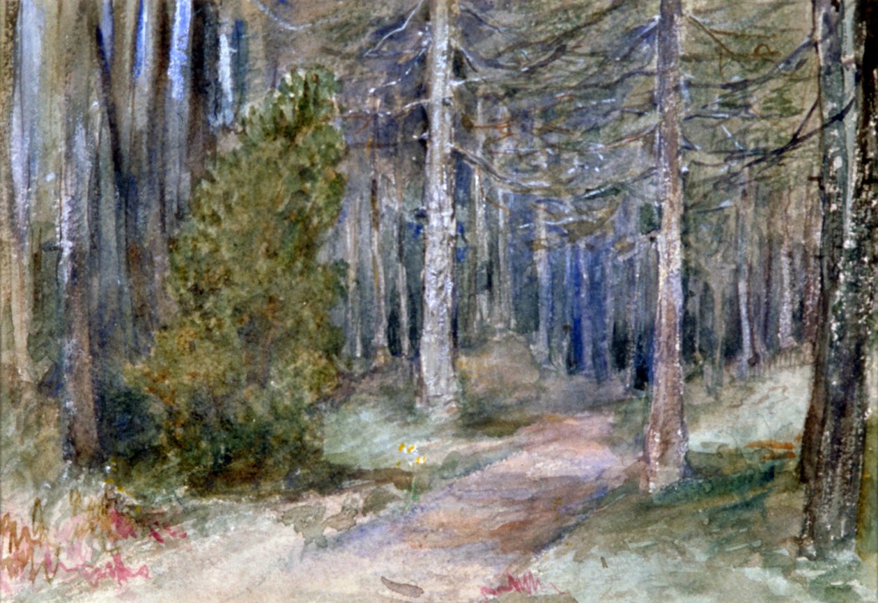 „In a Wood”, 1864-1930. alkotó: Anna Lea Merritt
