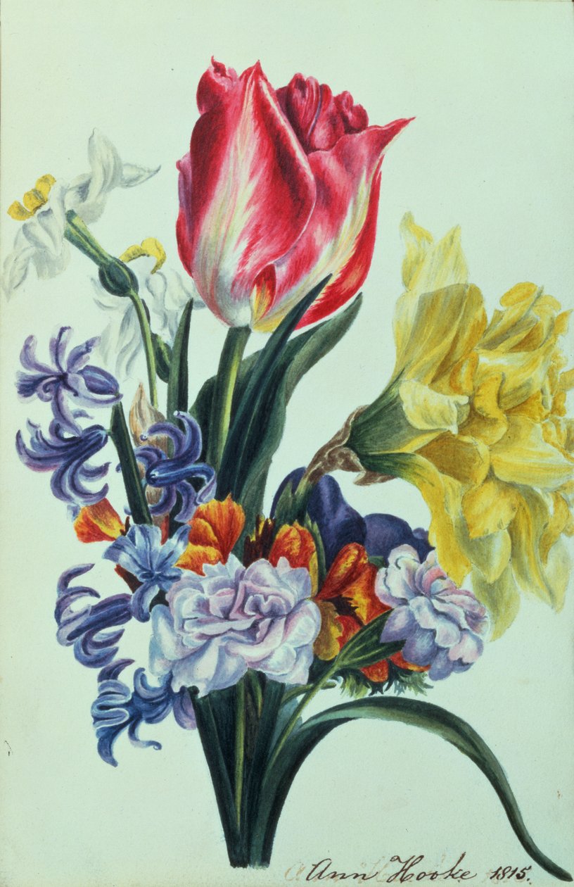 Tavaszi virágok, 1815 alkotó: Anne Hooke