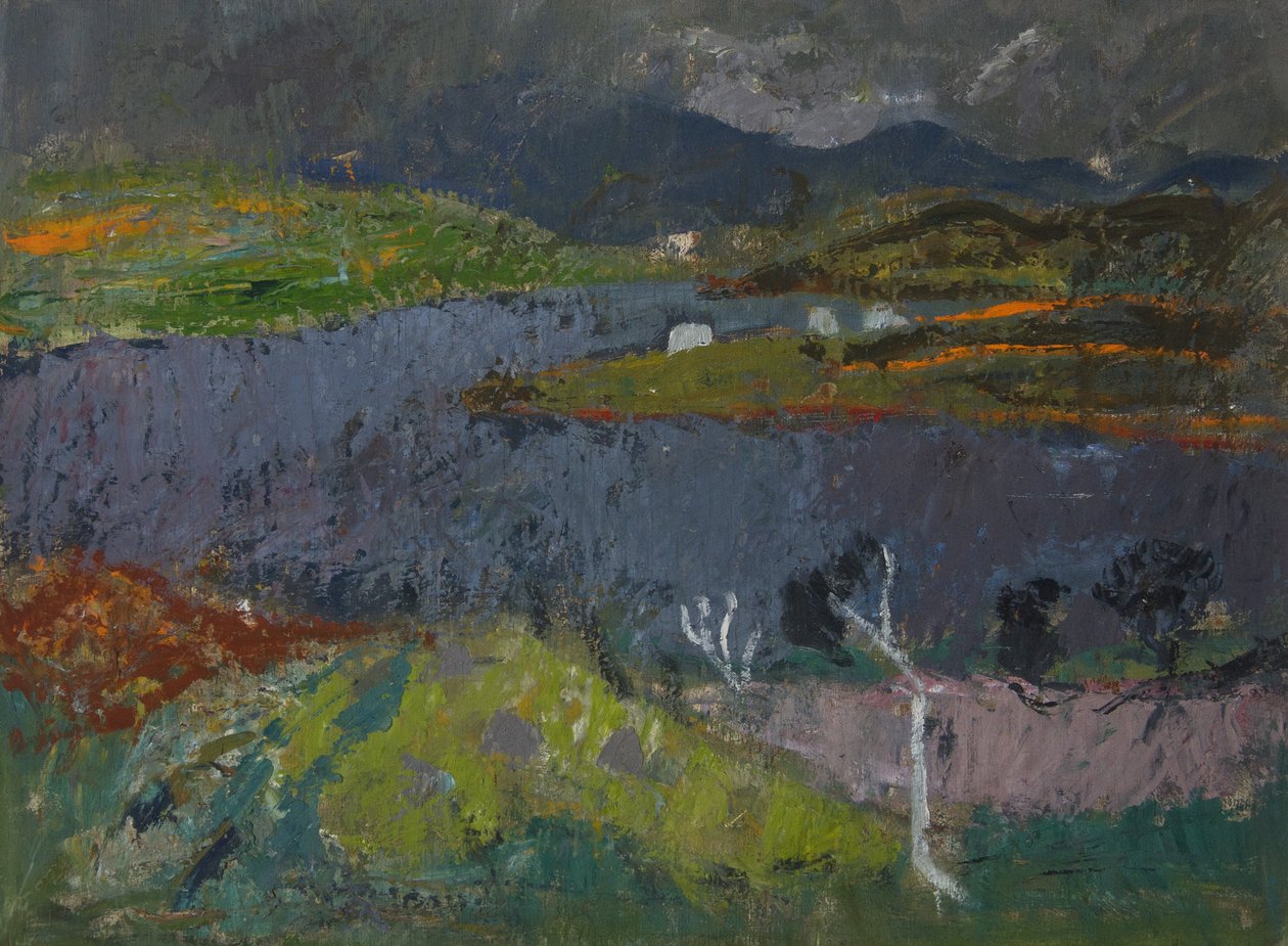 Táj Skye-ban (olaj a fedélzeten) alkotó: Anne Redpath