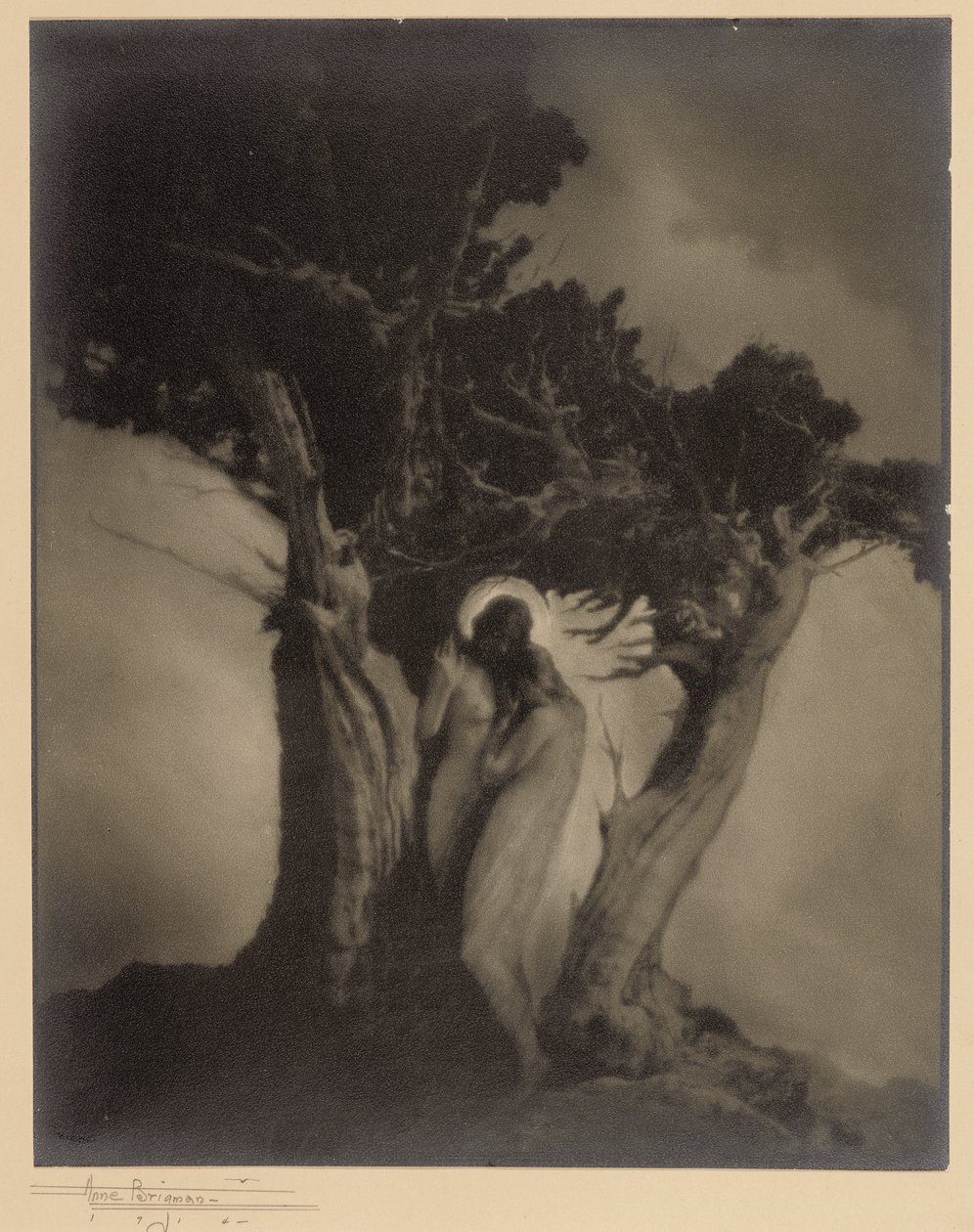 A vihar szíve alkotó: Anne W. Brigman