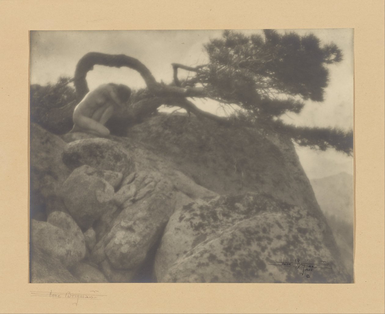 A magányos fenyő alkotó: Anne W. Brigman