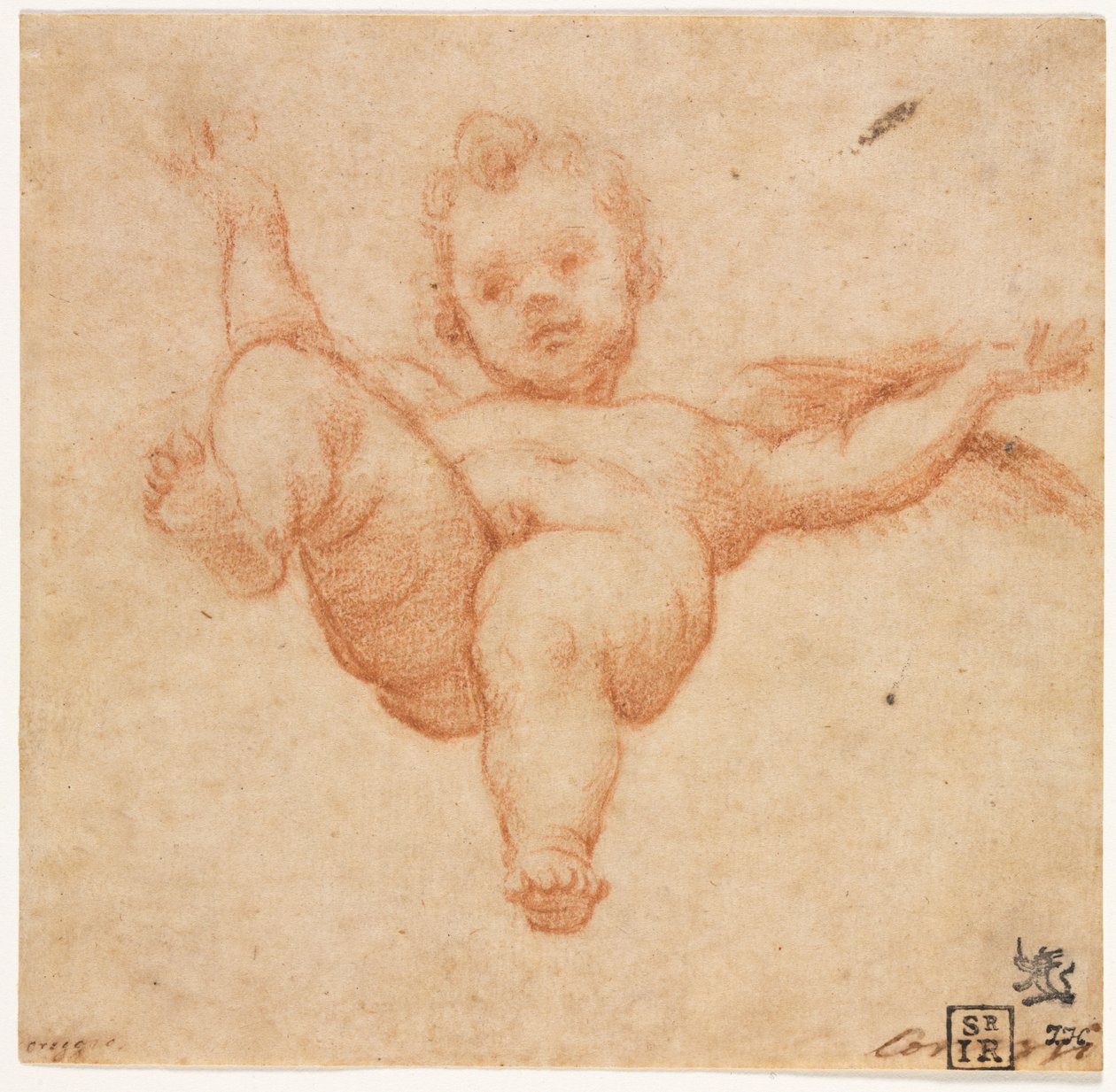 Repülő Ámor, c. 1602. alkotó: Annibale Carracci