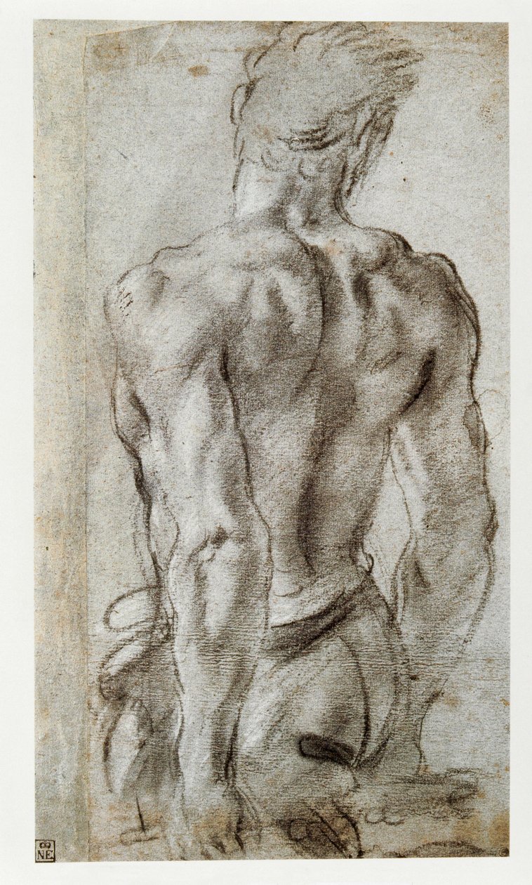 Férfi alak tanulmányozása ... alkotó: Annibale Carracci