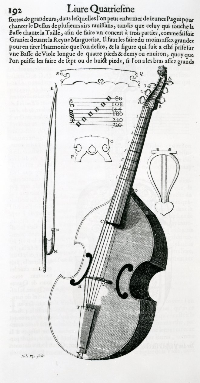 Viola, 1636 alkotó: Unbekannt Unbekannt