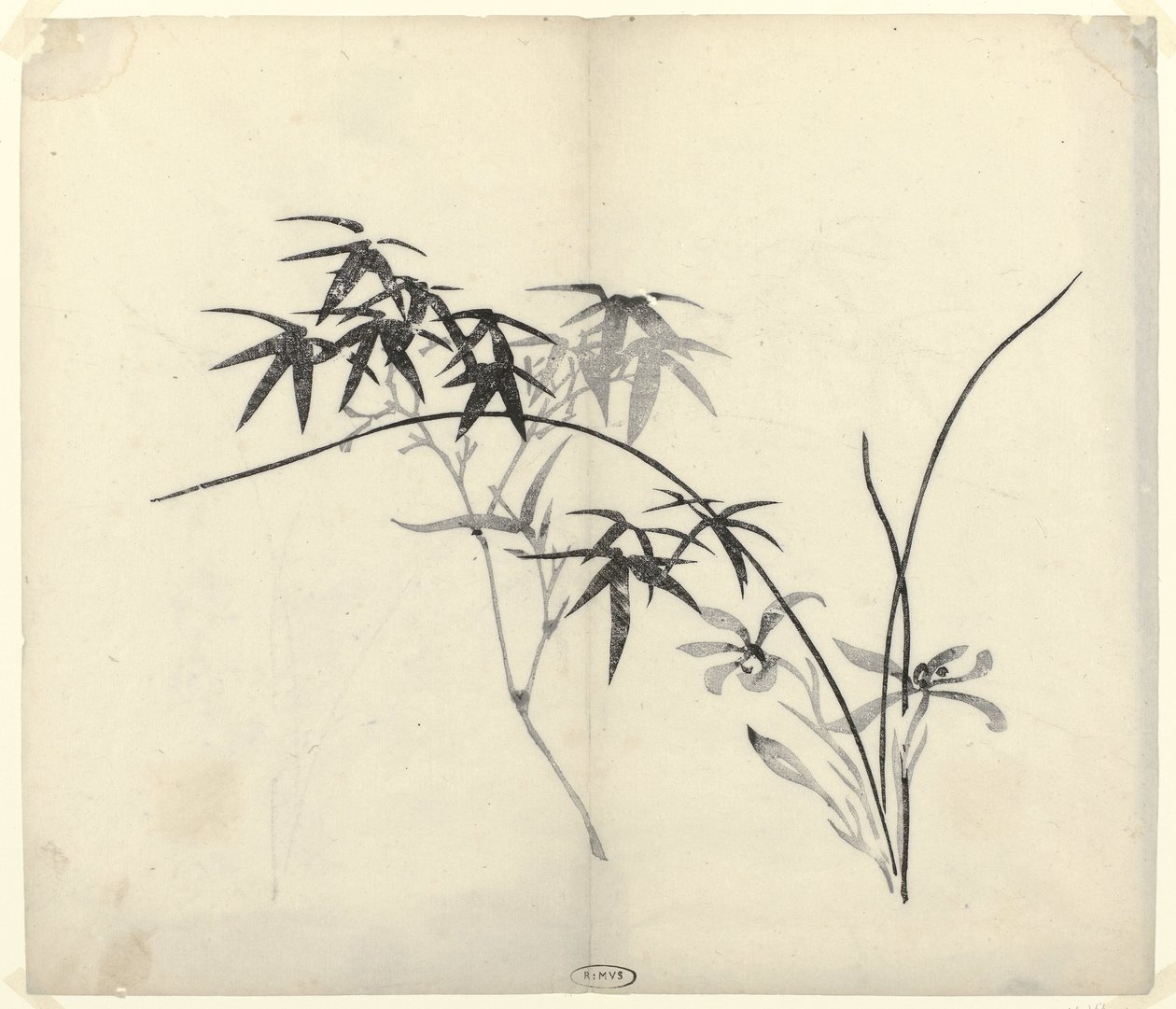 Bambusz és orchidea alkotó: Anonymous