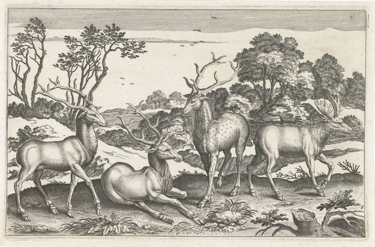 szarvas Négylábú állatok (sorozat címe) Animalivm Qvaddrvpedvm (sorozat címe) alkotó: Anonymous