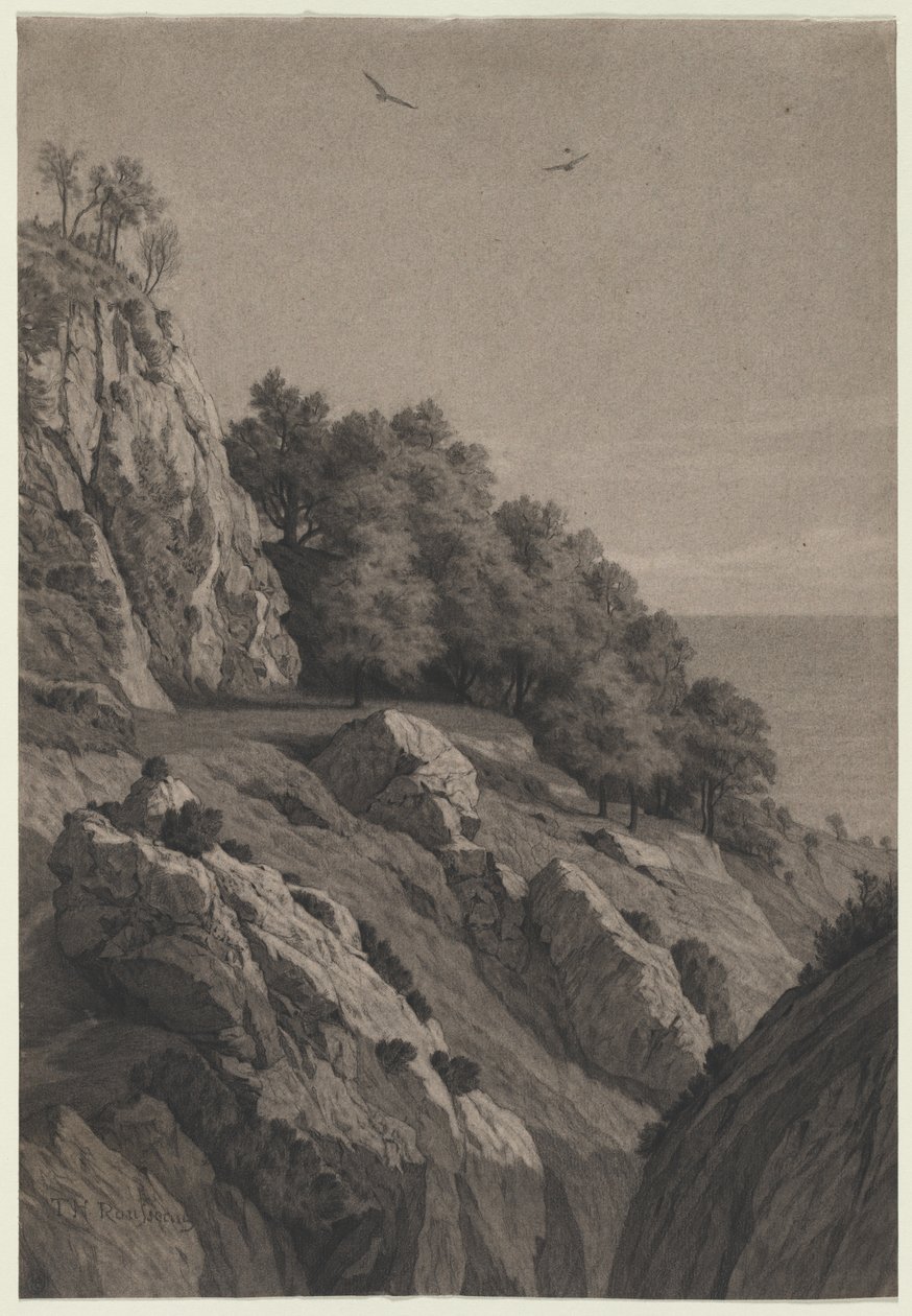 Rocky Cliff a parton alkotó: Anonymous