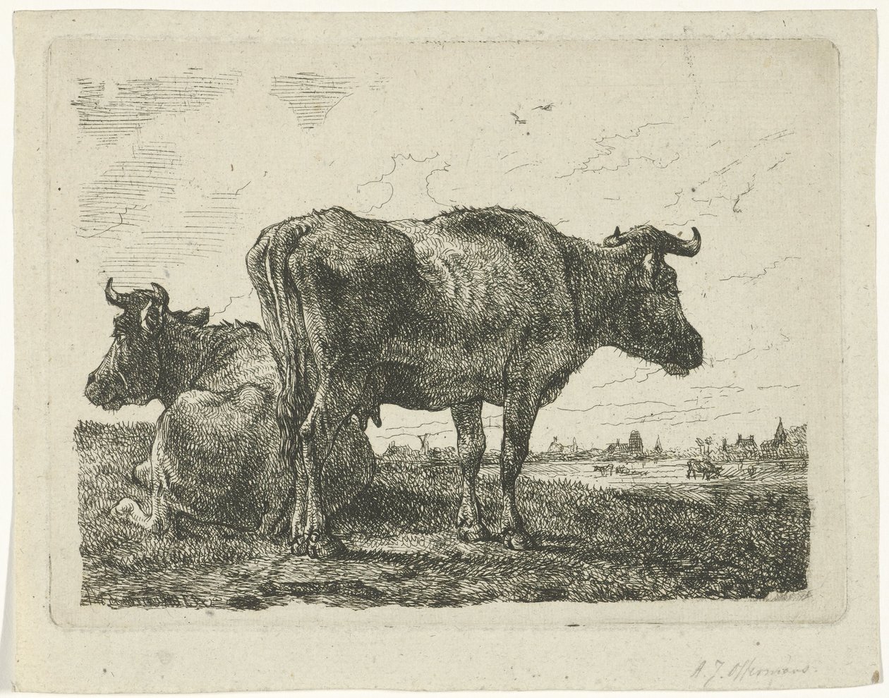 Két tehén alkotó: Anthony Jacobus Offermans