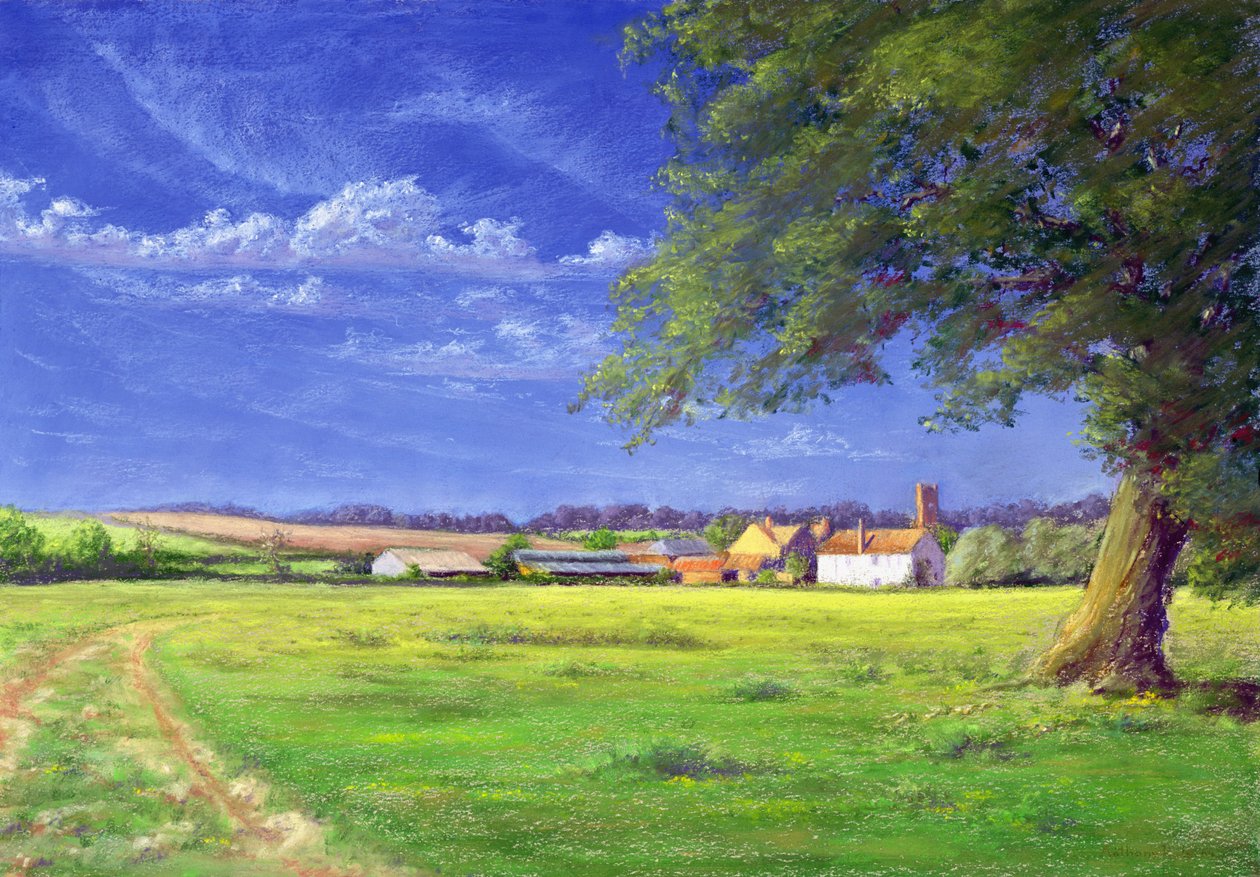 Home Field, 2004 alkotó: Anthony Rule