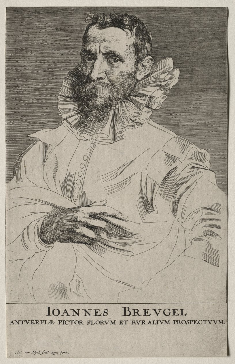 Jan Brueghel portréja. alkotó: Anthony van Dyck