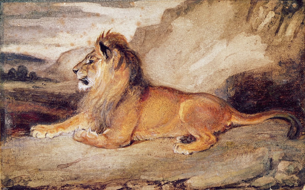 Pihenő oroszlán (wc és gouache papíron) alkotó: Antoine Louis Barye