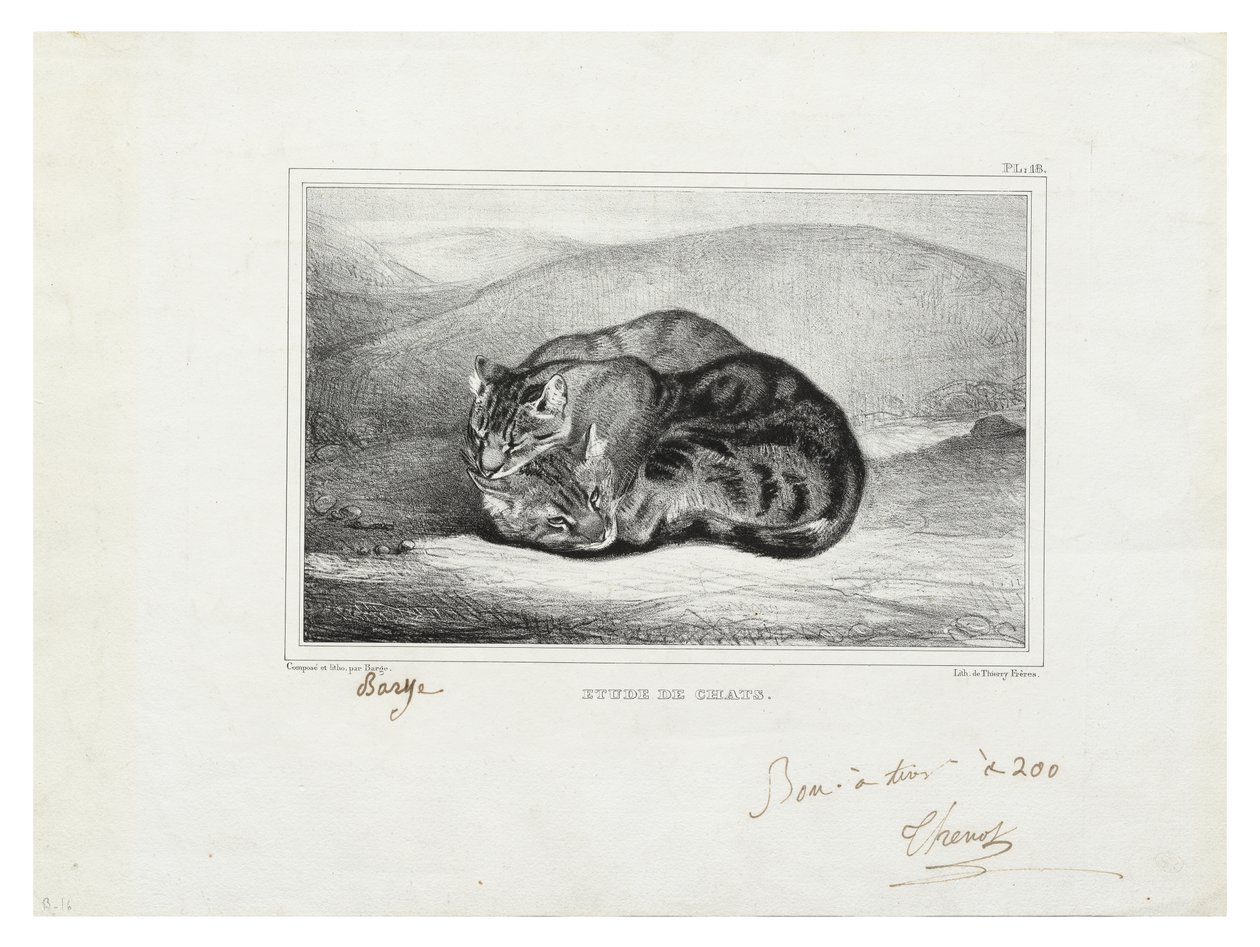 macskák tanulmányozása alkotó: Antoine Louis Barye