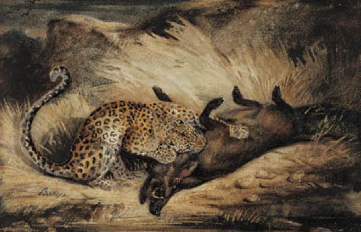 Leopárd megeszik egy vaddisznót. alkotó: Antoine Louis Barye