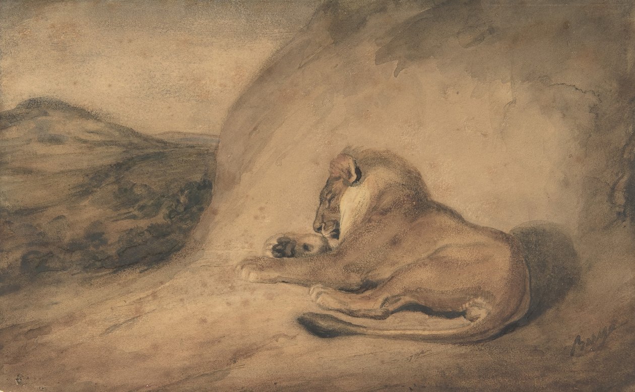 Oroszlán pihen, 1810-75. alkotó: Antoine Louis Barye