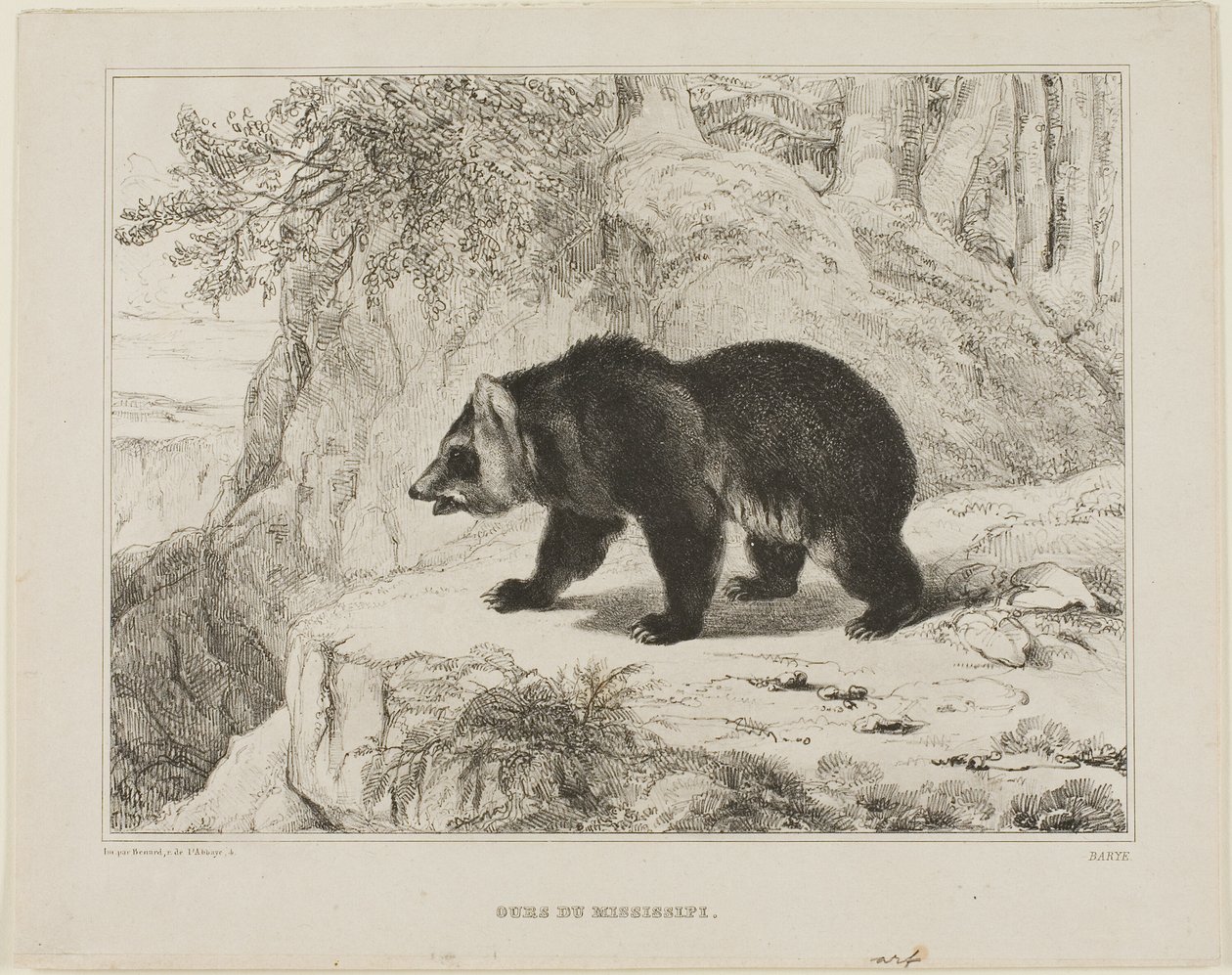 Mississippi Medve alkotó: Antoine Louis Barye
