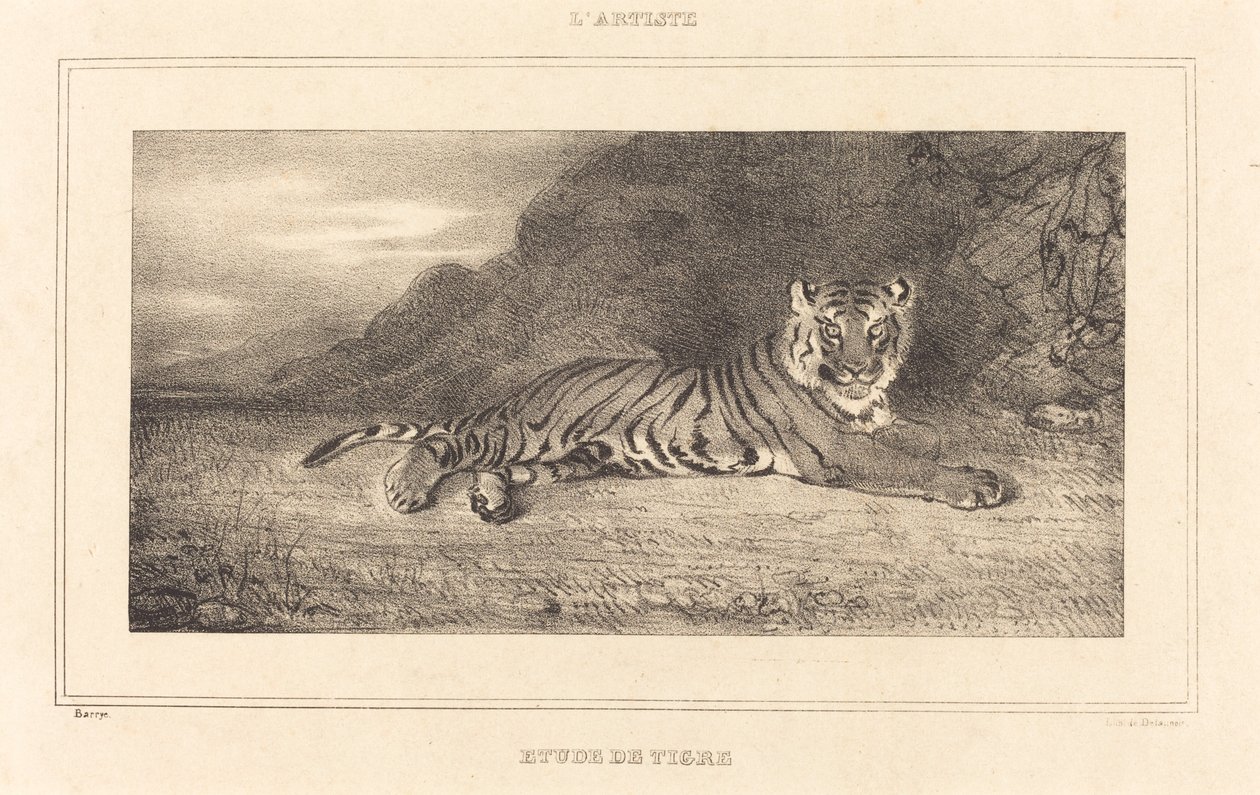 Tanulmány egy tigrisről alkotó: Antoine Louis Barye