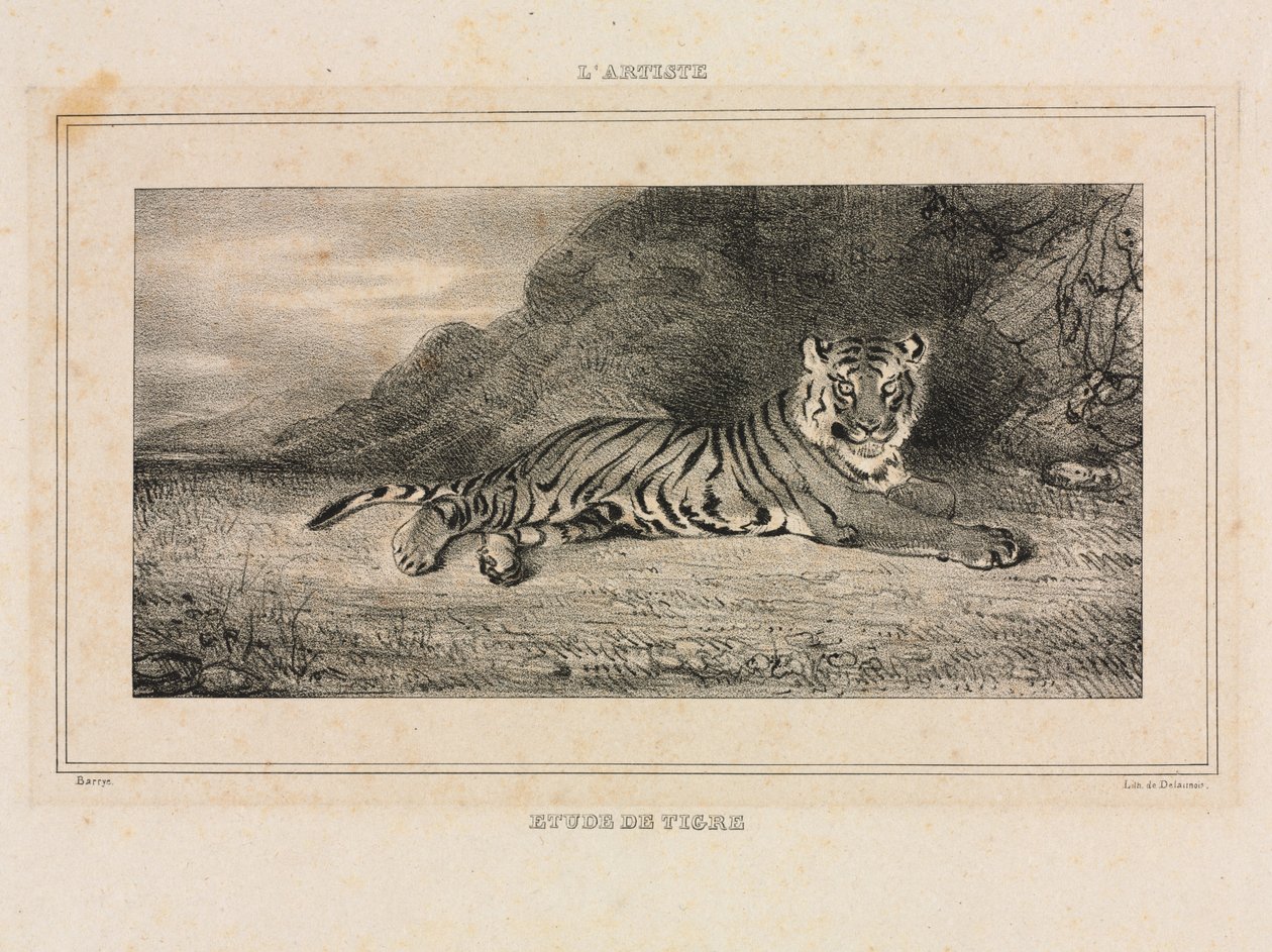 Tanulmány egy tigrisről alkotó: Antoine Louis Barye