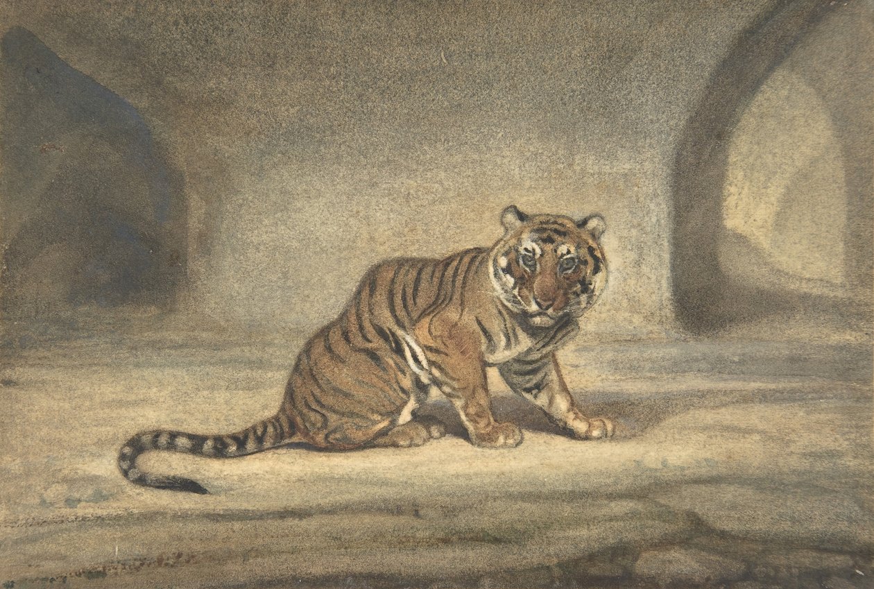 Tigris, 1810-75. alkotó: Antoine Louis Barye